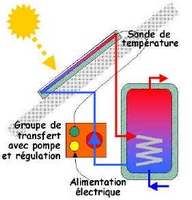 element separe